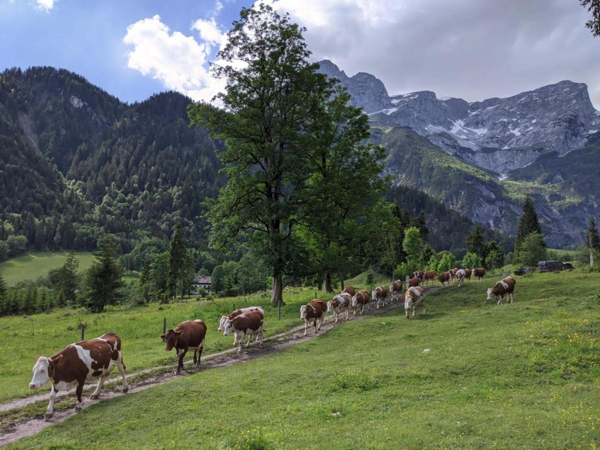 Hotel Bio Bauernhof Vorderoberlehen Werfenweng Zewnętrze zdjęcie
