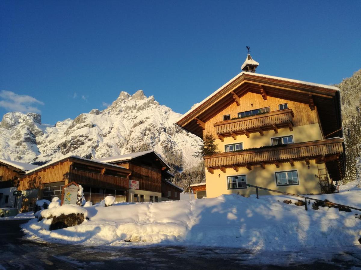 Hotel Bio Bauernhof Vorderoberlehen Werfenweng Zewnętrze zdjęcie