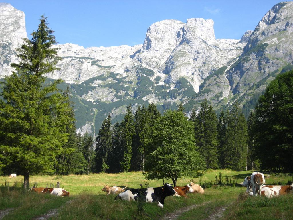 Hotel Bio Bauernhof Vorderoberlehen Werfenweng Zewnętrze zdjęcie
