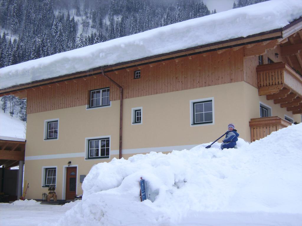 Hotel Bio Bauernhof Vorderoberlehen Werfenweng Zewnętrze zdjęcie