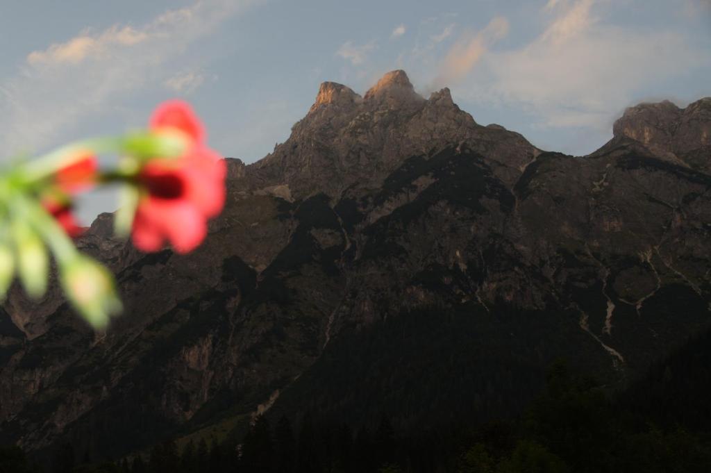 Hotel Bio Bauernhof Vorderoberlehen Werfenweng Zewnętrze zdjęcie
