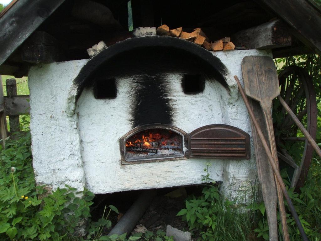 Hotel Bio Bauernhof Vorderoberlehen Werfenweng Zewnętrze zdjęcie