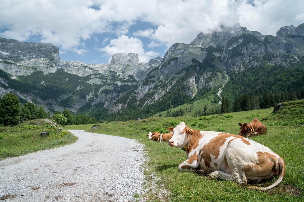 Hotel Bio Bauernhof Vorderoberlehen Werfenweng Zewnętrze zdjęcie
